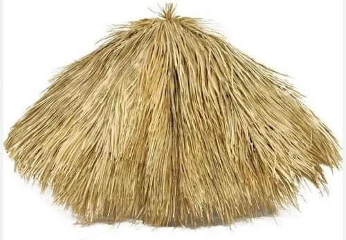 Round palm grass palapa - grass,