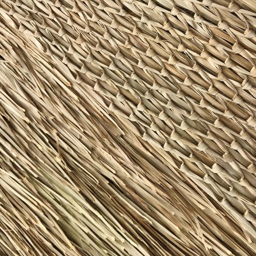 Mexican thatch x - 30", ft