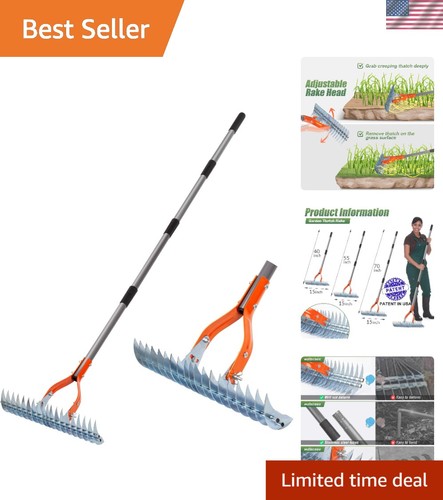 Lightweight thatch rake - thatch, with